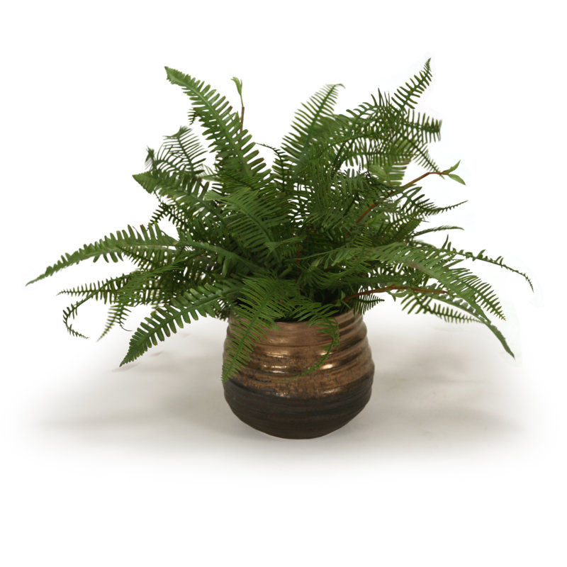 Gracie Oaks 2 Artificial Fern Plant in Pot Set Wayfair